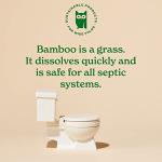 Caboo Tree Free Toilet Paper, Septic Safe Bath Tissue, Quick Dissolving 2 Ply Sheets - 300 Sheets Per Roll, 4 Double Rolls