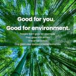 Bambu Soft Unbleached Bamboo Toilet Paper, 12 Large Rolls – 3 Ply Ultra Soft, Strong & Septic Safe, Eco Friendly Biodegradable Bathroom Tissue