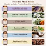 6-Pack Scented Soy Candle Set – Lavender Vanilla, Eucalyptus, Sandalwood, Jasmine & White Tea, Coconut, Sage | Natural Soy Wax Spring Summer Aromatherapy Candles for Home, Vacation, Relaxation & Spa