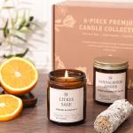 6-Pack Scented Soy Candle Set – Lavender Vanilla, Eucalyptus, Sandalwood, Jasmine & White Tea, Coconut, Sage | Natural Soy Wax Spring Summer Aromatherapy Candles for Home, Vacation, Relaxation & Spa