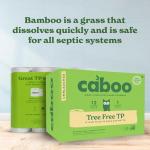 Caboo Tree Free Unbleached Toilet Paper | Plastic Free Packaging, Septic Safe, Eco Friendly, Chemical Free, Non Toxic | 2 Ply Toilet Tissue, Pack of 12 Double Rolls, 300 Sheets Per Roll