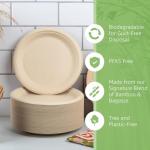 Jenvita Bamboo Paper Plates Compostable (125-Pack, 9-inch) | Sturdy & Microwave Safe | Heavy Duty Brown Disposable Plates | PFAS Free, Biodegradable | FSC Certified Alternative to Plastic