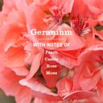 MRS. MEYER'S CLEAN DAY Hand Soap Refill, Made with Essential Oils, Geranium, 33 fl. oz