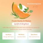 Therapy Clean Plant Based Dish Soap Liquid - Fresh Herbs & Melon fl. 16 oz - Non Toxic Dish Soap Liquid, All Natural Scent, Organic Dishwashing Cleaner and Detergent for Kitchen