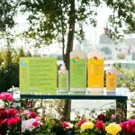 Sonett Organic Dishwashing Liquid Organic 100% Biodegradable (Lemon, 10 Fl.Oz (1 Count))