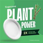 Compostable 9-Inch Heavy-Duty Sugarcane Plates - 125 Pack