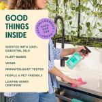 Aunt Fannie Lavender Cleaning Vinegar - 16.9 oz