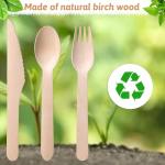 500 Pieces Compostable Cutlery Set, Wooden Utensils Set, 200 Spoons, 200 Forks, 100 Knives, Sturdy Wood Disposable Wooden Cutlery, Eco-Friendly Utensils for Party