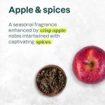 ATTITUDE Liquid Hand Soap, EWG Verified, Plant and Mineral-Based, Vegan Personal Care Products, Apple & Spices, 16 Fl Oz