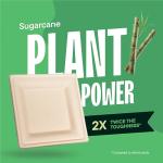 100% Compostable Square Paper Plates [50-Pack] - {PFAS-Free} - {BPI Certified} - [10 Inch] Heavy Duty, Eco-Friendly, Biodegradable Bagasse Dinner Plates - Natural Brown 10" Plate by Stack Man