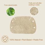 Natural Loofah Sponge with Handle, 5-Piece Replaceable Eco Sponges for Cleaning, Non-Scratch Scrubber for Dishwashing Cookware Pans, Kitchen Eco-Friendly Tools