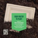 100% Compostable Square Paper Plates [50-Pack] - {PFAS-Free} - {BPI Certified} - [10 Inch] Heavy Duty, Eco-Friendly, Biodegradable Bagasse Dinner Plates - Natural Brown 10" Plate by Stack Man