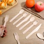 500 Pieces Compostable Cutlery Set, Wooden Utensils Set, 200 Spoons, 200 Forks, 100 Knives, Sturdy Wood Disposable Wooden Cutlery, Eco-Friendly Utensils for Party