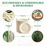 Vplus 350 Pack Paper Plates 7 inch 100% Compostable, Heavy-Duty Disposable Paper Plates Bagasse Natural Biodegradable Eco-Friendly Sugarcane