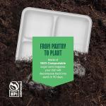 Eco-Friendly 5-Compartment Compostable Paper Plates - 125 Pack