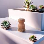 Wooden Dish Brush and Natural Loofah Sponge (2 inches) Sets, 3Pcs, Sisal Dish Brushes, Eco-Friendly Natural Dish Washing Brush for Dishwashing Cast Iron Pots Pans Skillet Vegetables Sink, Set of 3