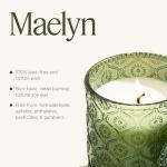 LA JOLIE MUSE Pine & Pomegranate Candle | Lemon, Pomegranate & Pine | 6 oz Natural Soy Wax | 40 Hours Clean Burn | Gift-Ready for Hosts, Gatherings | Elegant Home Décor