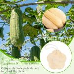 Tyqour Natural Loofah Sponge 3 Pack, Face Loofah & Body Exfoliator Scrubber, Eco-Friendly Shower Sponge for Body, Exfoliating Loofah for Men, Women, Kids