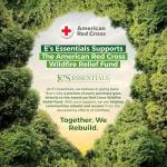 700 PCS Wooden Cutlery Set - 100% Compostable Silverware (300 Forks, 200 Spoons, 200 Knives) - Eco-Friendly Wooden Utensil Set & Disposable Party Utensils, Alternative to Bamboo Cutlery