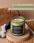 Eucalyptus & Mint Soy Candles - 70 Hour Burn