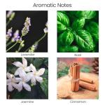 Eco-Friendly Aromatherapy Candles | Lavender & Basil