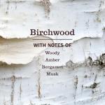 Mrs. MEYER'S CLEAN DAY Hand Soap Refill, Birchwood Scent, 33 Fl Oz Bottle