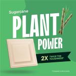 Eco-Friendly 6-Inch Compostable Paper Plates (50-Pack)