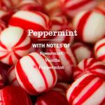 MRS. MEYER'S CLEAN DAY All-Purpose Cleaner Spray, Limited Edition Peppermint, 16 fl. oz