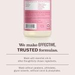 MRS. MEYER'S CLEAN DAY All-Purpose Cleaner Spray, Limited Edition Peppermint, 16 fl. oz