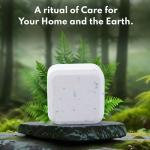 100% Plastic-Free Dishwasher Detergent Tablets, 100 Count, Free & Clear, Eco-Friendly Dishwashing Tablets, Natural, Sustainable