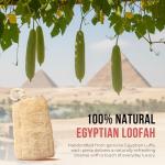 Eco-Friendly Egyptian Loofah Sponge Set of 4