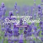 Eco-Friendly Dish Soap Liquid Refills - Wild Lavender