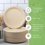 Jenvita Bamboo Paper Eco Disposable Plates (50-Pack, 10-inch) | Sturdy & Microwave Safe | Heavy Duty Eco Friendly Small Plates | PFAS Free, Biodegradable | FSC Certified Alternative to Plastic