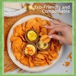 Jenvita Bamboo Paper Eco Disposable Plates (50-Pack, 10-inch) | Sturdy & Microwave Safe | Heavy Duty Eco Friendly Small Plates | PFAS Free, Biodegradable | FSC Certified Alternative to Plastic