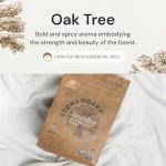 Grab Green Stoneworks Laundry Detergent Pods, 100 Count, Oak Tree Scent, Plant and Mineral Based, Cleans Deeply, Eliminates Odors, Fights Stains, Softens Naturally