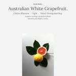 Murchison-Hume Natural Dish Soap – Plant-Based, Eco-Friendly Dishwashing Liquid – Tough on Grease, Non-Toxic & Safe for Sensitive Skin – 17oz (Australian White Grapefruit)