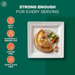 ECO SOUL Compostable Paper Plates 8 Inch (100 Count) Heavy Duty Disposable Dessert Plates, Eco-Friendly Sugarcane Bagasse Small Plates For Appetizer- White