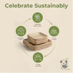 Eco-Friendly Palm Leaf and Bamboo Disposable Plates Set
