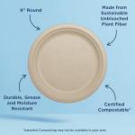 World Centric Wheat Straw/Bagasse Compostable 9-Inch Fiber Plate, 20-Piece, 9 inch