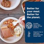 World Centric Wheat Straw/Bagasse Compostable 9-Inch Fiber Plate, 20-Piece, 9 inch