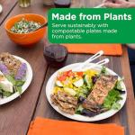 World Centric Wheat Straw/Bagasse Compostable 9-Inch Fiber Plate, 20-Piece, 9 inch