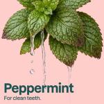 Fluoride-Free Vegan Peppermint Toothpaste, 4.2 Oz
