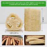 Natural Loofah Sponges – 3 Pack for Shower & Bath – Eco-Friendly Exfoliation, Body Scrubber,wash The Dishes, & Pet Grooming – Biodegradable, Chemical-Free