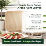 EVERMADEGREEN Bamboo Plates with Cutlery - Set of 50 Plates (8in) + 50 Forks + 50 Knives | Biodegradable Palm Leaf Plates | Disposable Dinner Plates | Rustic Dinnerware for Christmas, Wedding, Party