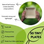 Naturally Chic Premium 6 Inch Square Bamboo Plates Disposable - 50 Pack - Biodegradable Palm Leaf Dessert Plates for Appetizers and Cocktail Party - Compostable and Eco-Friendly
