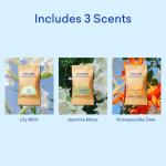 BLUELAND Foaming Hand Soap Refill Tablets, 4-Pack, Garden Blooms Variety Scents, Eco Friendly Cleaning Products, 4 x 9 Fl oz