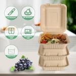 Aricsen 50 Pack 3 Compartment Compostable 8x9 Inch Takeout Lunch Box Containers with Lid To Go Take Out Clamshell for Food, Disposable Eco-Friendly Biodegradable Bagasse, PFAS-Free, Brown