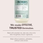 MRS. MEYER'S CLEAN DAY Hand Soap, Birchwood Scent, 12.5 Fl Oz Bottle