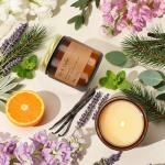 6-Pack Scented Candles for Home, 3.5 Oz Soy Wax Candles Gift Set with Lavender Chamomile & Eucalyptus Mint for Brithday Gifts Women, HomeMeditation & Spa