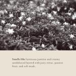 A LA MAISON Hand Soap Refill Pouch – Jasmine & Santal– Liquid Hand Wash Refill, Eco-Friendly & Recyclable – Plant-Based, Biodegradable, Made in France – 16.9 fl oz – Amber Collection